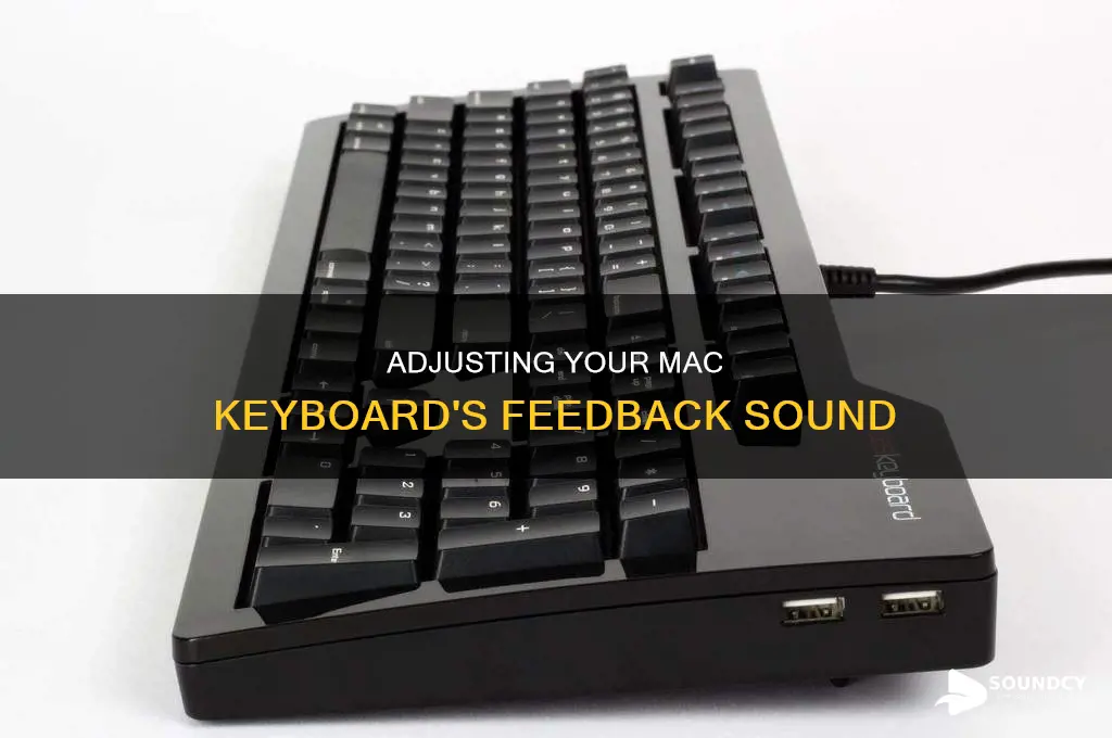 how adjust mac keyboard feedback sound
