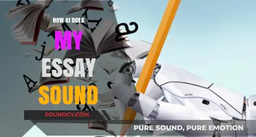 AI Essay Writing: Sound and Style