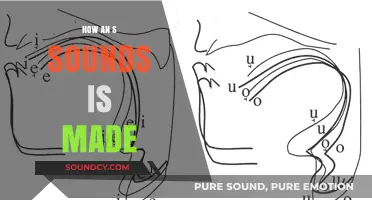 The Science Behind the 'S' Sound