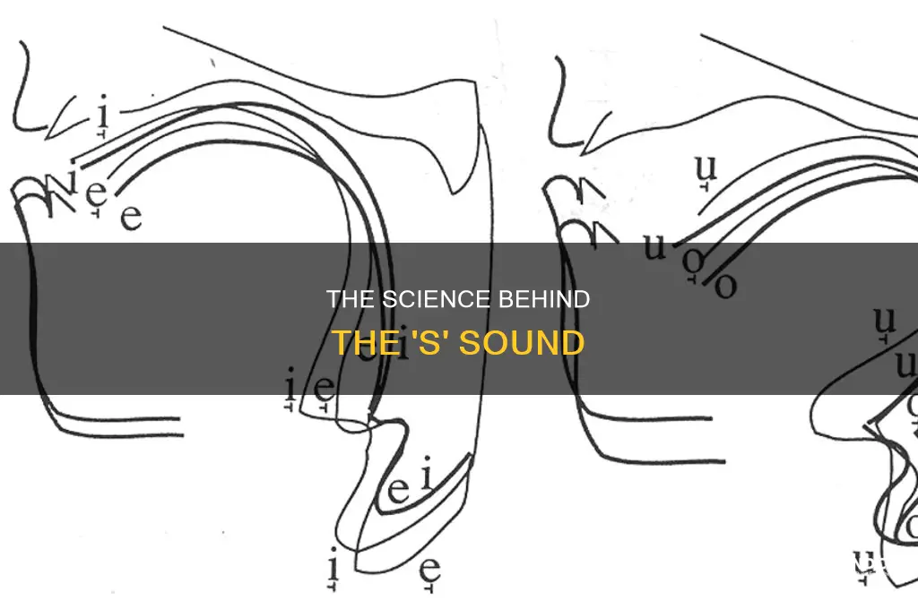 how an s sounds is made