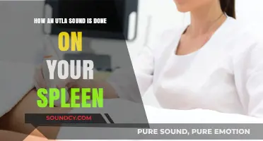 Understanding the Unique Ultrasound Process for Spleen Examination
