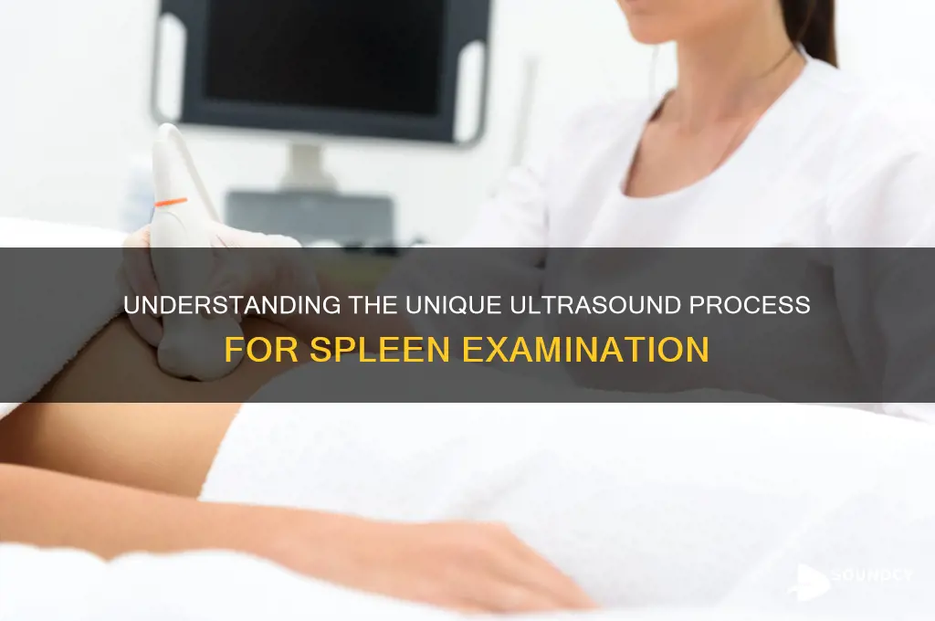 how an utla sound is done on your spleen