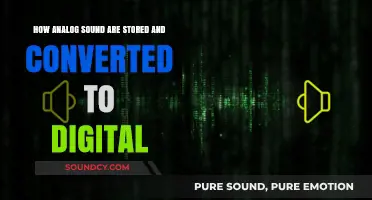 From Vinyl to Digital: Understanding Analog Sound Storage and Conversion