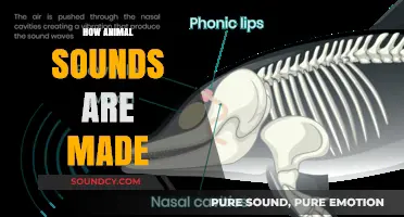 Unveiling the Science Behind How Animals Create Their Unique Sounds