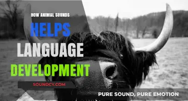 Animal Noises: Language Development Superpowers