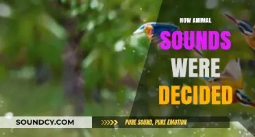 Unveiling the Origins: How Animal Sounds Were Historically Decided