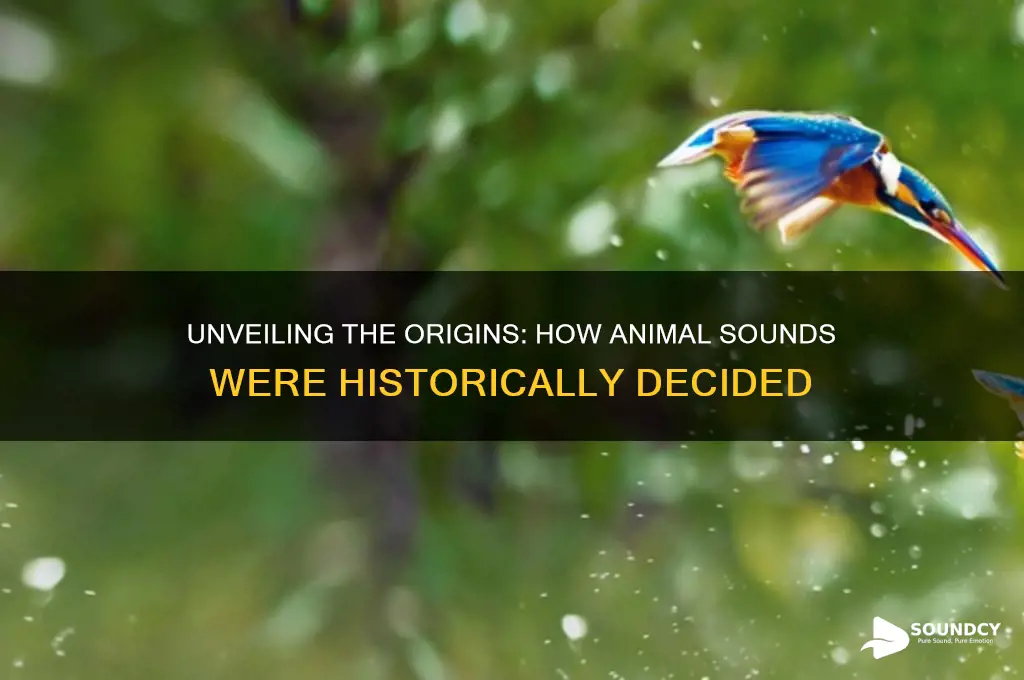 how animal sounds were decided