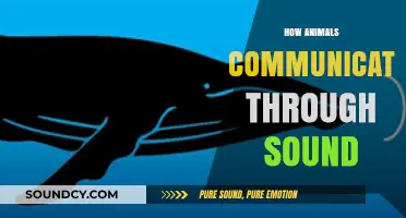 Unveiling the Sonic Language: How Animals Communicate Through Sound