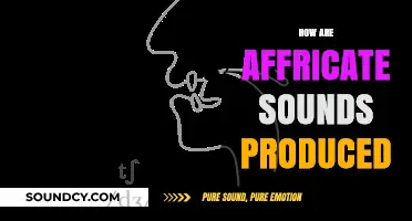 Mastering Affricate Sounds: Production Techniques and Articulatory Mechanics
