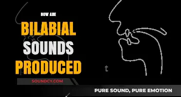 Understanding Bilabial Sounds: Production Techniques and Articulatory Mechanics