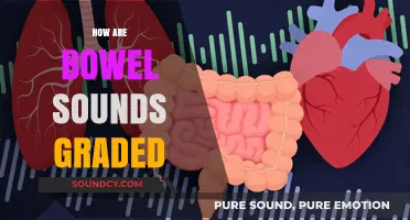 Understanding Bowel Sound Grading: A Comprehensive Guide for Healthcare Professionals