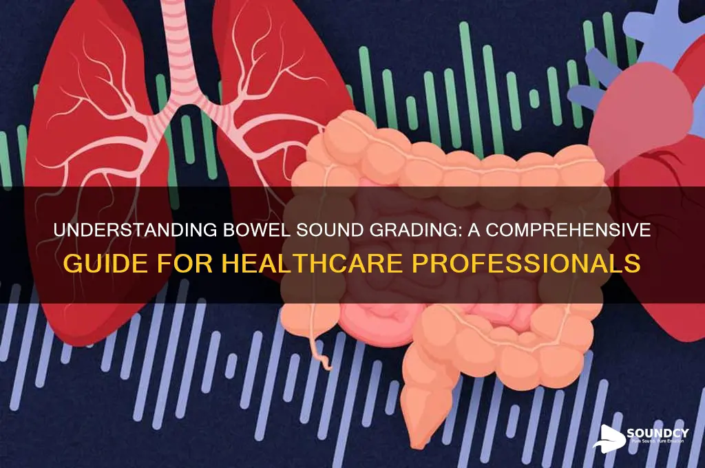 how are bowel sounds graded