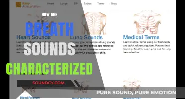 Understanding Breath Sounds: Types, Characteristics, and Clinical Significance