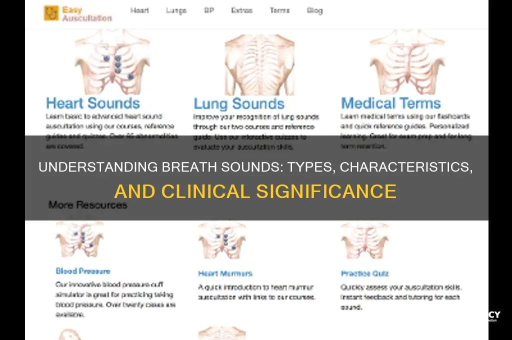 how are breath sounds characterized