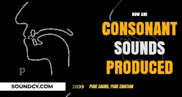 Understanding Consonant Production: The Art of Speech Sound Creation