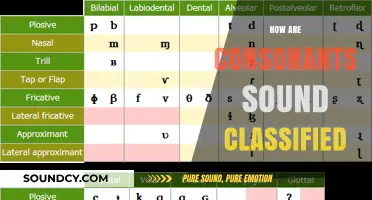 Understanding Consonant Sounds: A Comprehensive Classification Guide for Linguists