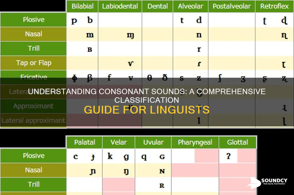 how are consonants sound classified