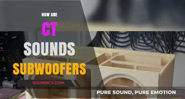 Exploring CT Sounds Subwoofers: Power, Performance, and Bass Excellence