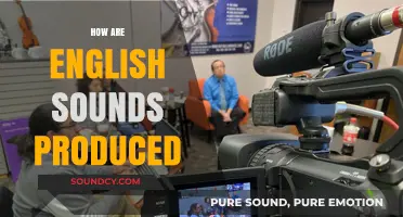 Mastering English Phonetics: Understanding the Mechanics of Sound Production