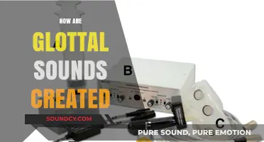 Understanding Glottal Sound Production: Mechanics and Articulatory Process Explained