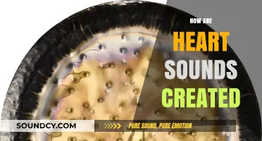 Understanding Heart Sounds: The Science Behind Cardiac Acoustics Explained