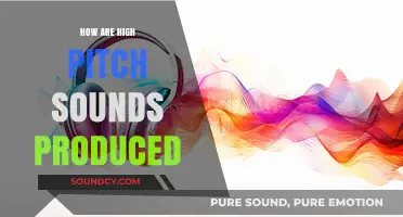 The Science of High-Pitched Sounds