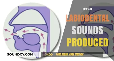 Understanding Labiodental Sounds: Production Techniques and Articulatory Mechanics