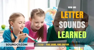 Unlocking Phonics: How Children Master Letter Sounds in Early Reading