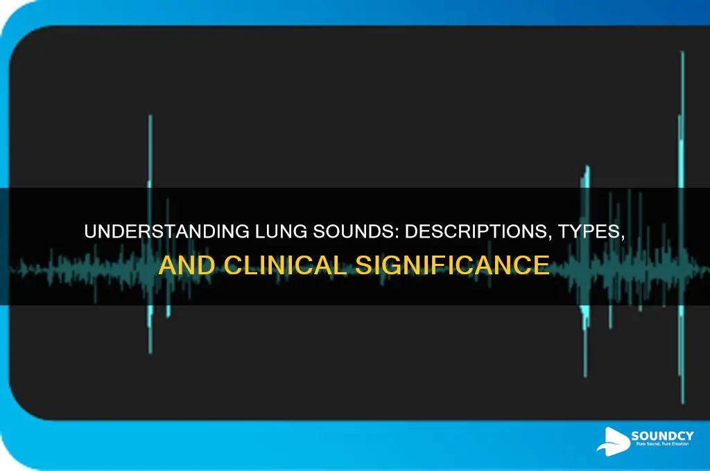 how are lung sounds described