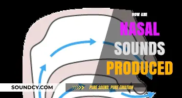Understanding Nasal Sound Production: A Comprehensive Guide to Phonetics
