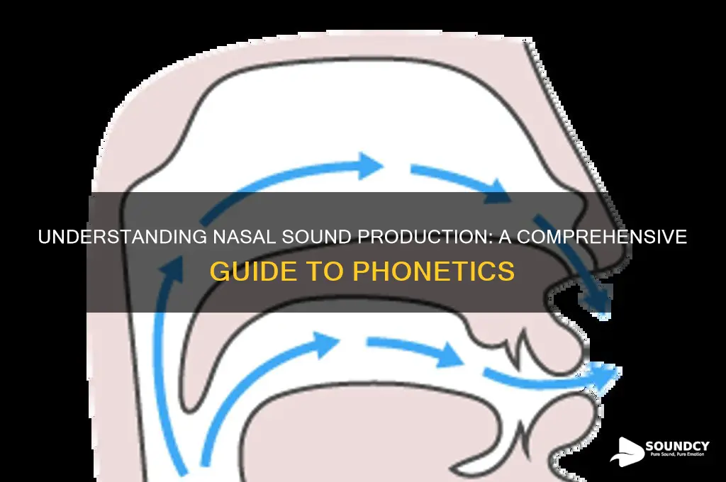 how are nasal sounds produced