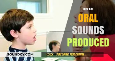 Understanding Speech: The Art and Science of Producing Oral Sounds