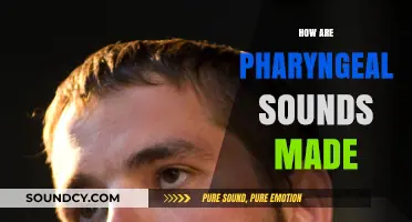 Understanding Pharyngeal Sounds: Mechanics and Production in Human Speech