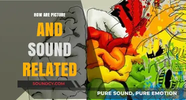 Visuals and Audio: A Symbiotic Relationship