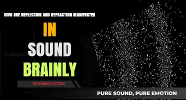 Sound Waves: Exploring Reflection and Refraction in Brainly