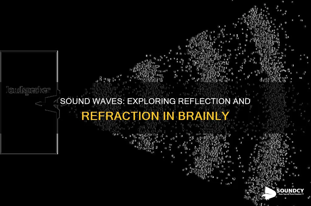 how are reflection and refraction manifested in sound brainly