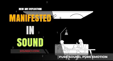 Sound Reflections: Understanding the Science