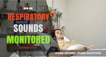 Monitoring Respiratory Sounds: Techniques, Tools, and Clinical Applications