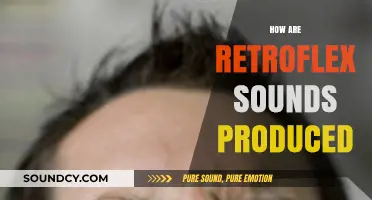 Mastering Retroflex Sounds: Tongue Position and Articulation Explained