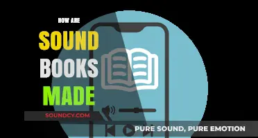 Crafting Sound Books: A Step-by-Step Guide to Audiobook Creation