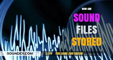 Understanding Digital Audio: How Sound Files Are Stored and Organized