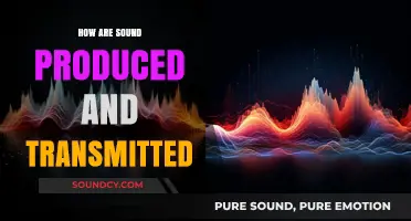 Sound Production and Transmission: The Science Behind It