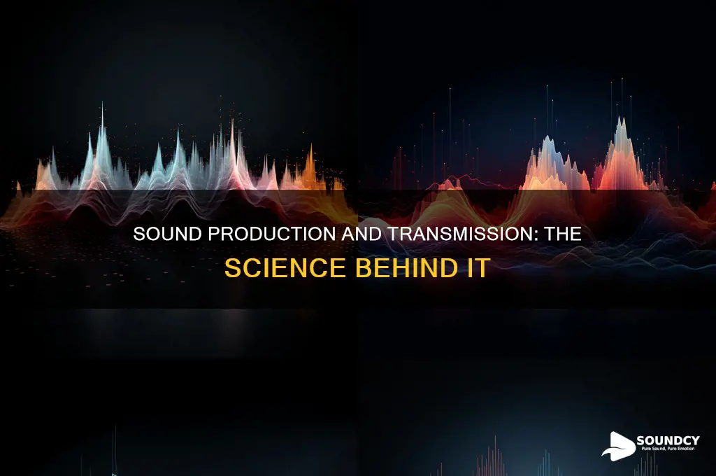 how are sound produced and transmitted