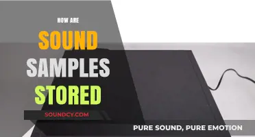 Understanding Digital Audio: How Sound Samples Are Stored and Processed