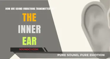 How Sound Vibrations Travel to the Inner Ear: A Journey Explained