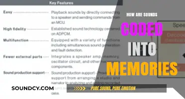 The Music of Memory: How Sounds Become Eternal