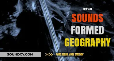 Exploring the Geographic Origins and Formation of Sounds in Nature