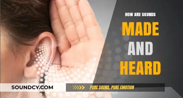 Sounds: How We Make and Hear Them