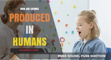 The Science of Human Speech Production