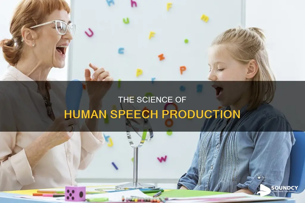 how are sounds produced in humans